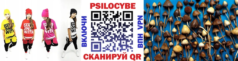 Купить закладки  Железногорск-Илимский  Галлюциногенные грибы Magic Shrooms 